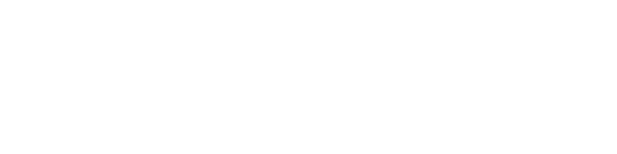 POLO&MACAYO Servicios Digitales para negocios reales